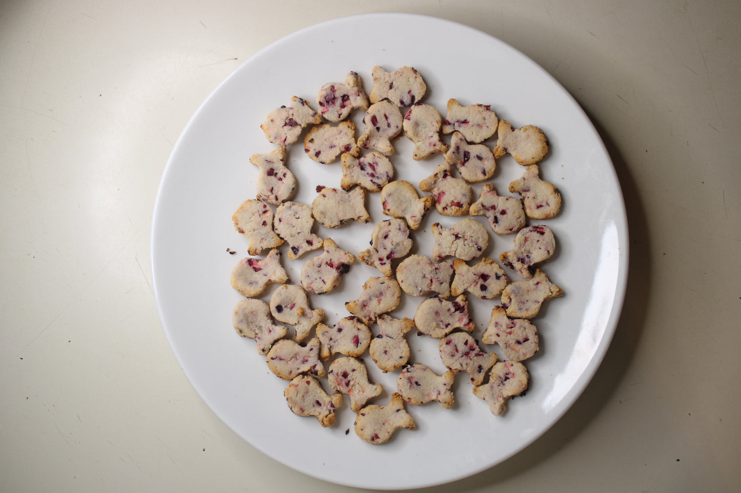 salmon flavored fish shaped cat treats