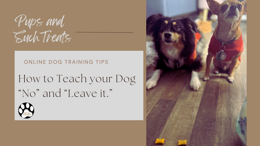 How to Teach your Dog "Leave it," "No"