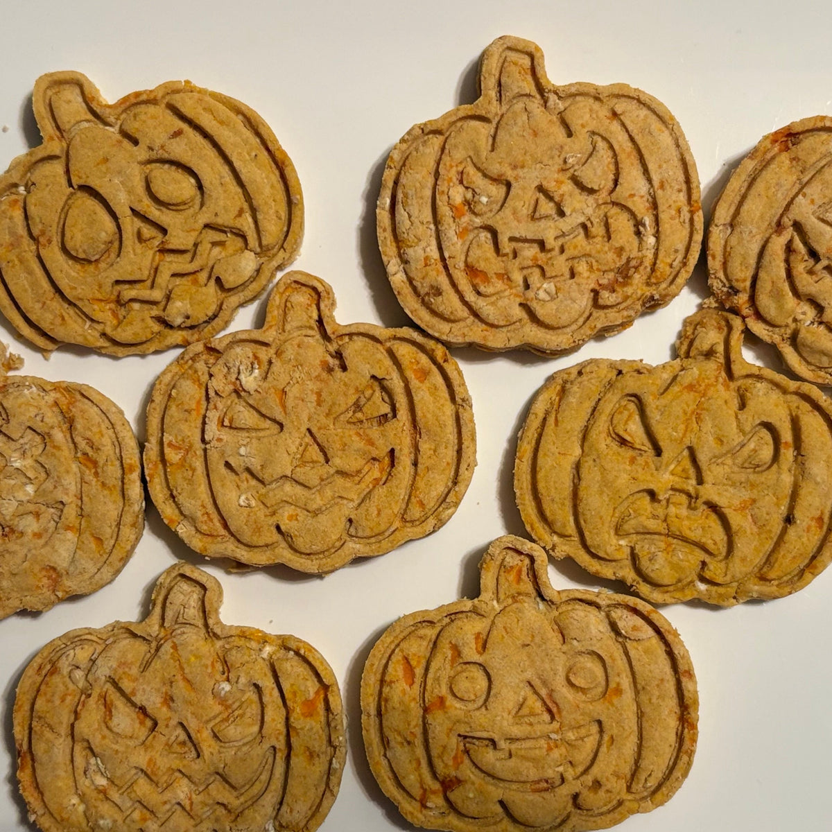 New arrivals: assortment of festive pet treats shaped like holiday icons on a white plate.