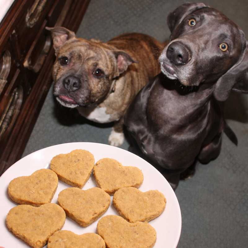 Two dogs eagerly looking at a plate of heart-shaped dog treats.