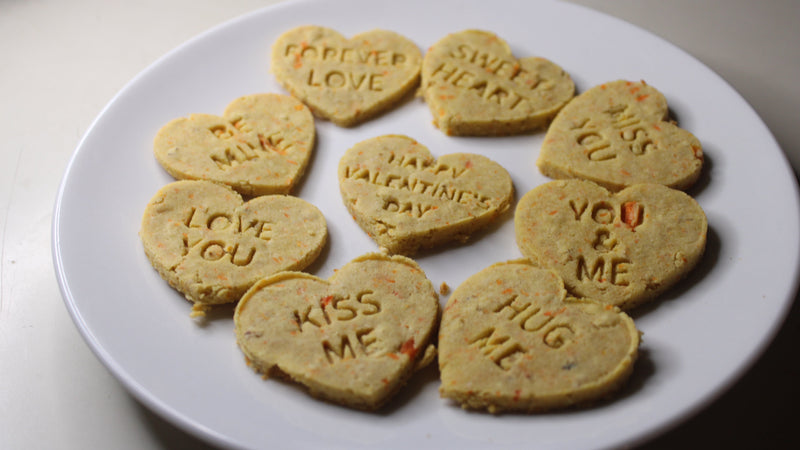 heart shaped dog treats with valentine's day sayings