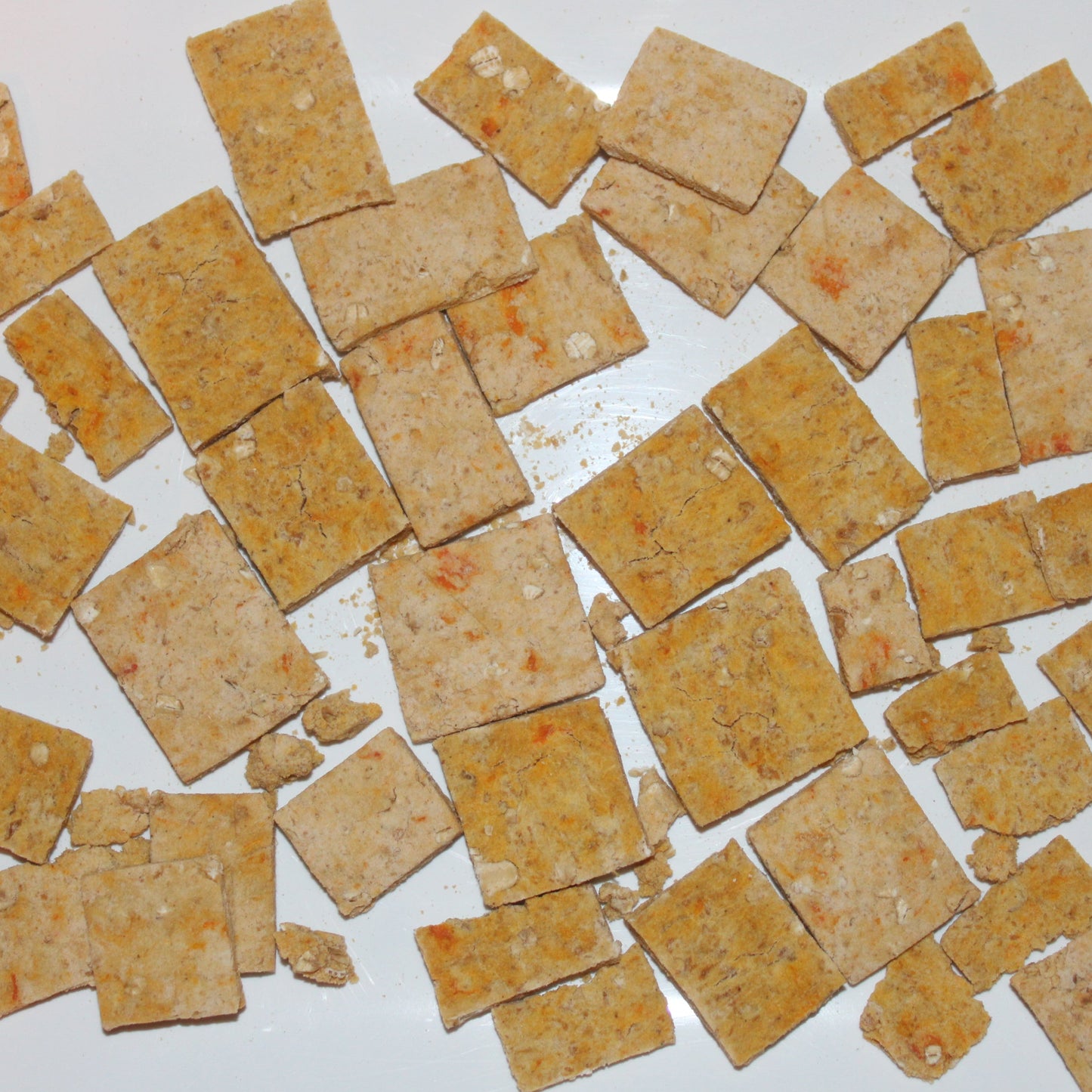 Assorted square dog treats on a white plate