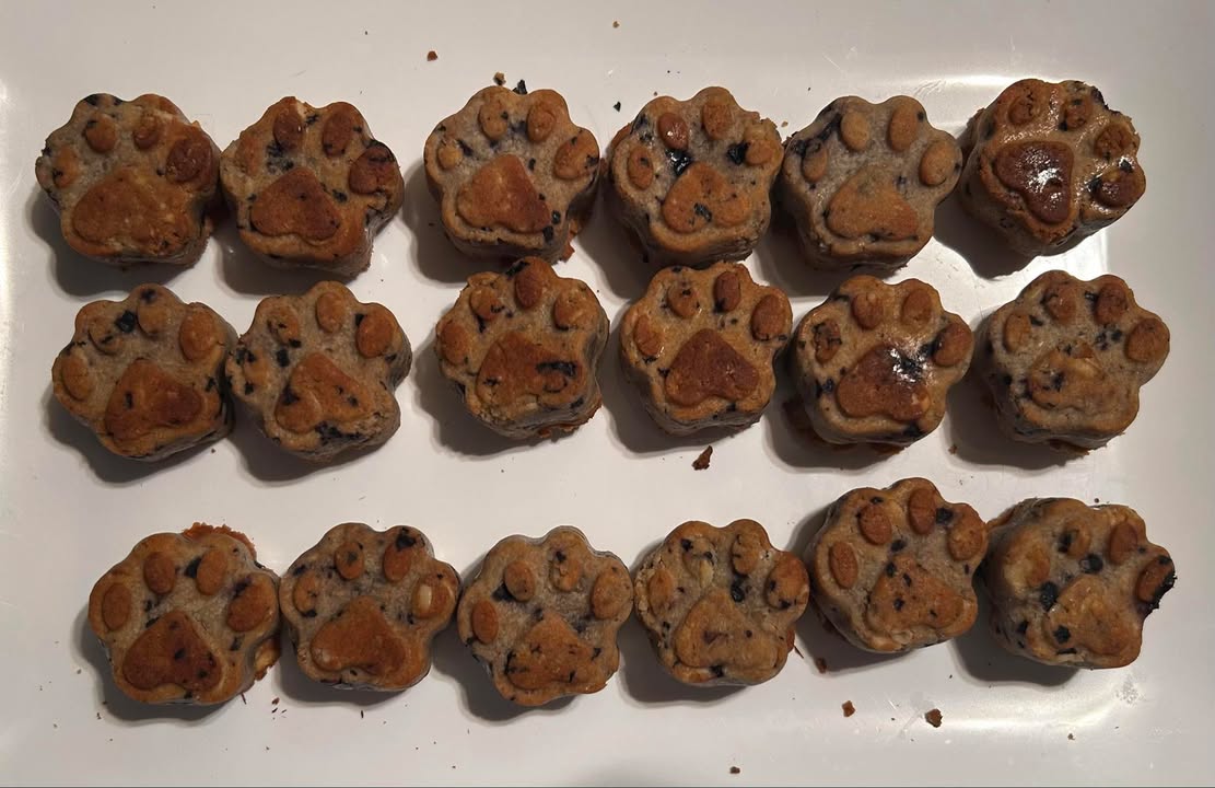 Paw shape blueberry natural dog treats on a white plate